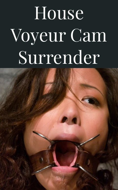 House Voyeur Cam Surrender