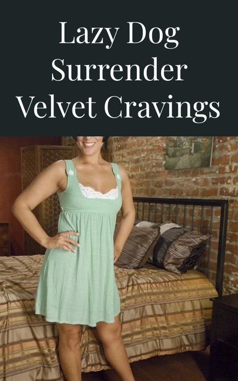 Lazy Dog Surrender Velvet Cravings
